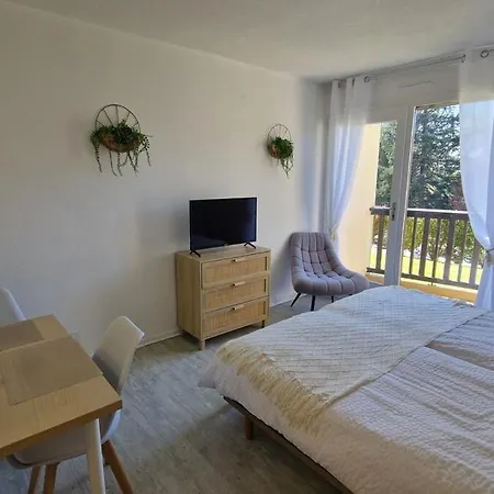 3 Etoiles Au Coeur De La Apartment *